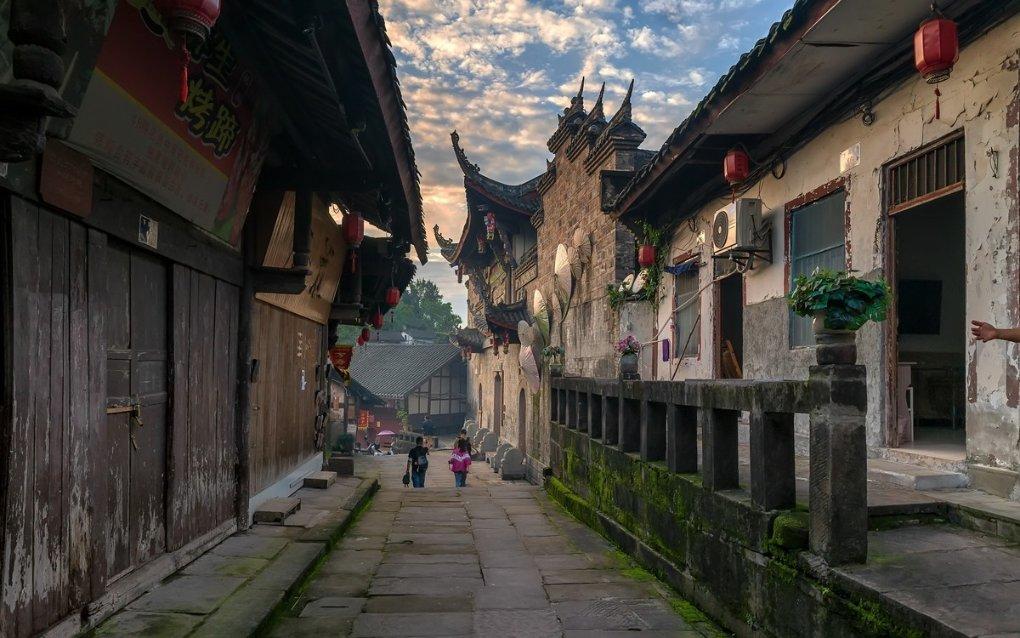 救援萌老虎